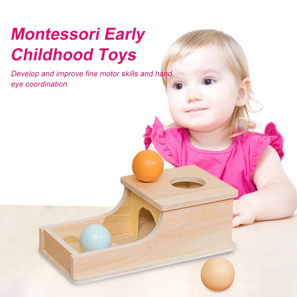 Wooden Object Target Box Montessori Matching Blocks Learning Early Educational Toys Parent-Child for Toddler - The Kings Lots