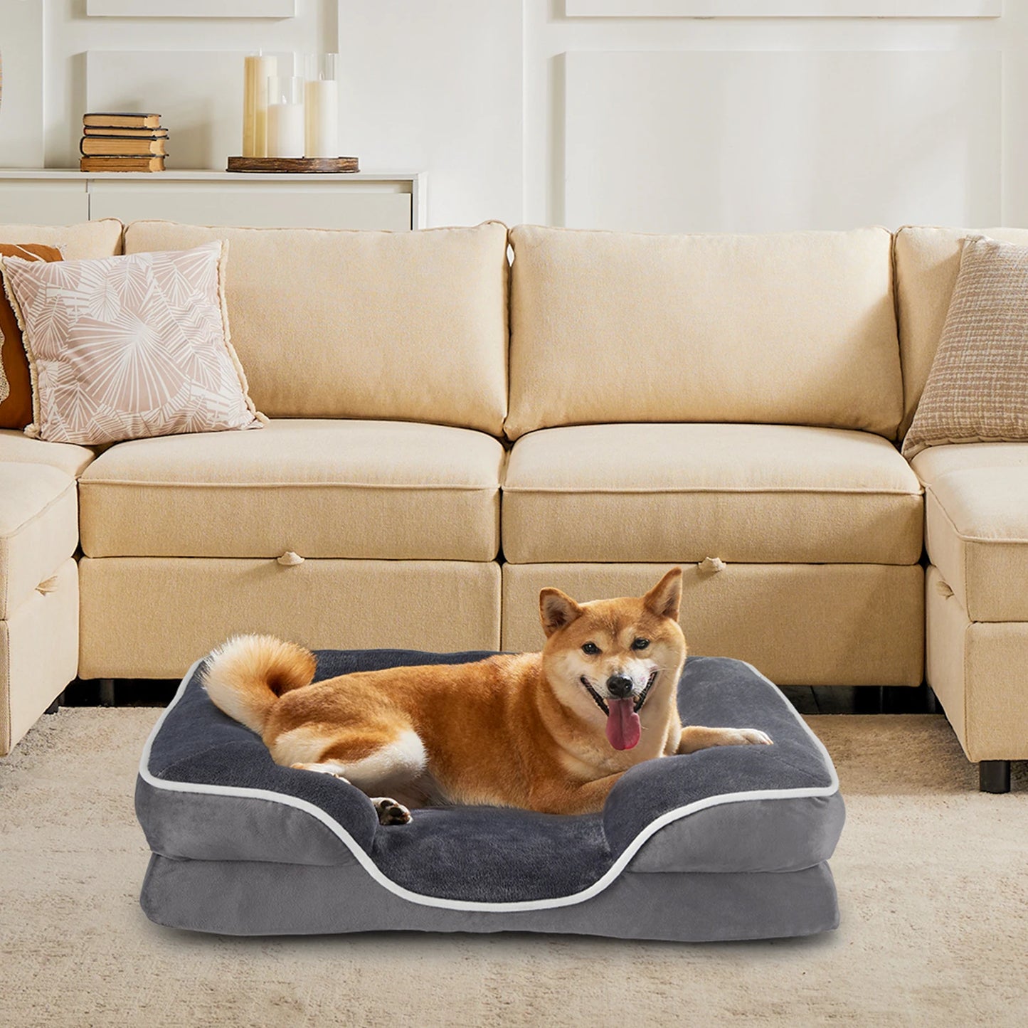 JHK Orthopedic Dog Bed Memory Foam for Small Dogs & Cats