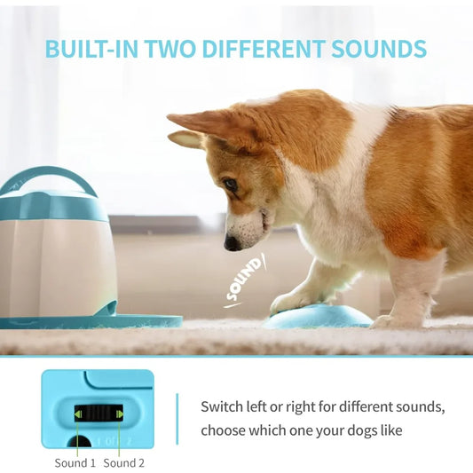 Automatic Treat Dispenser with Remote Button, Puzzle Memory Training Activity Toy- IQ Training Feeder, Pet Automatic Feeders - The Kings Lots